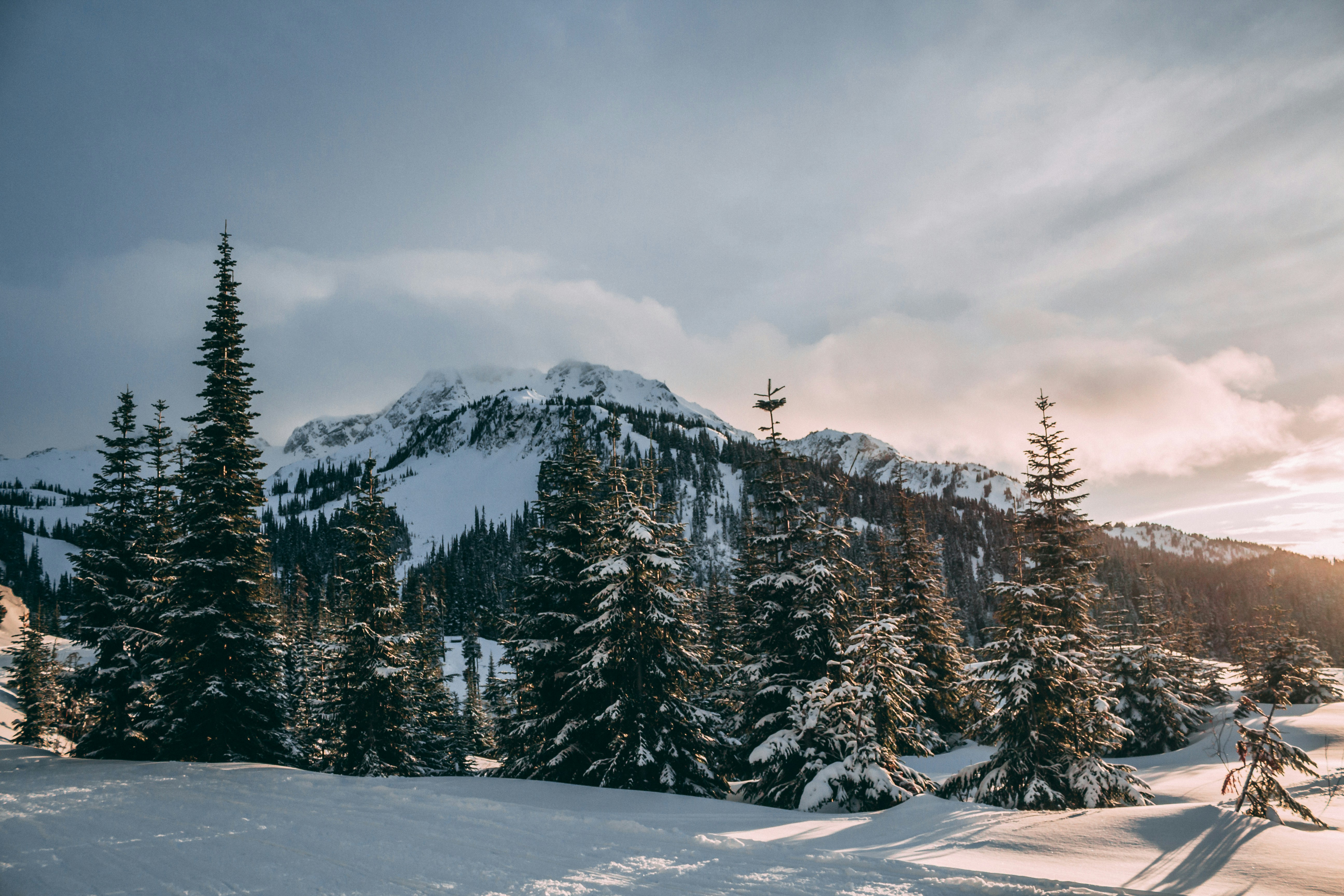 Whistler (British Columbia)